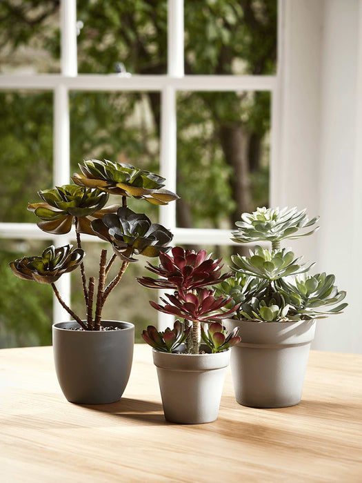 Faux Potted Echeveria - Burgundy