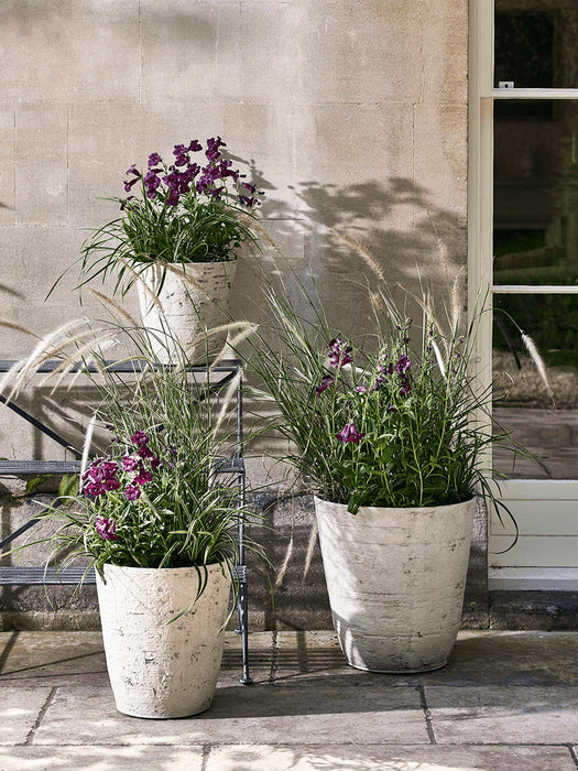 Three Birch Effect Planters