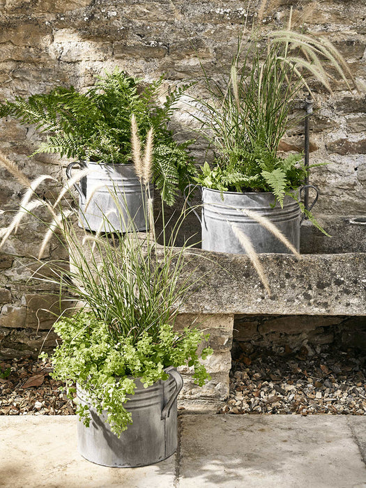 Three Aged Zinc Planters