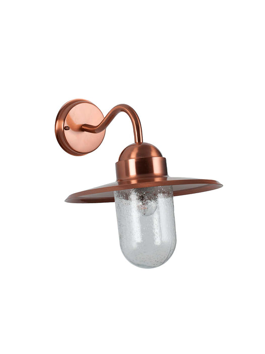 Copper Swan Neck Light