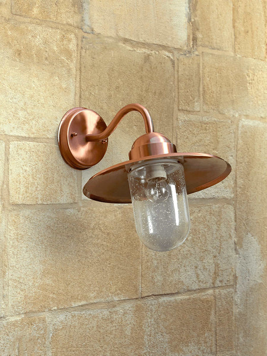 Copper Swan Neck Light