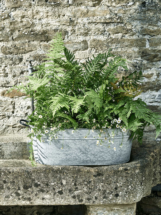 Aged Zinc Trough