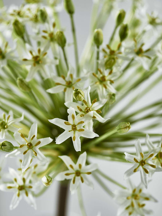 Faux Allium Stem