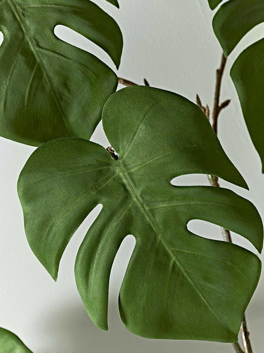 Faux Botanical Monstera Stem