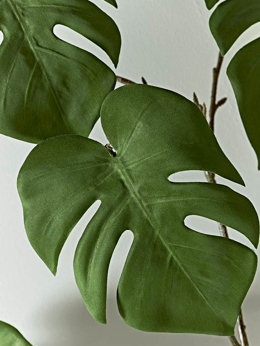 Faux Botanical Monstera Stem