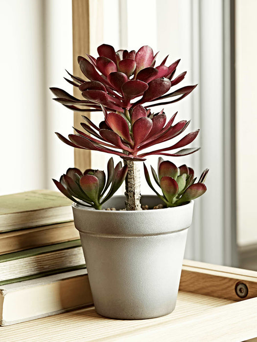 Faux Potted Echeveria - Burgundy
