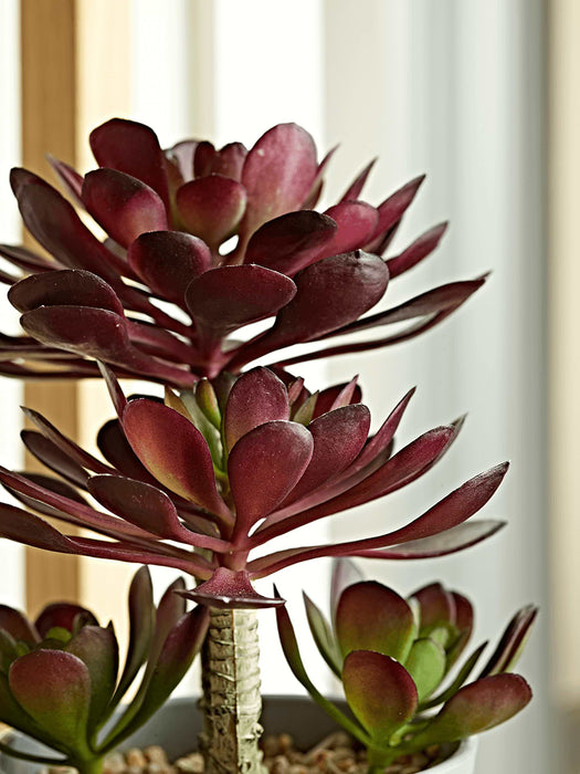 Faux Potted Echeveria - Burgundy