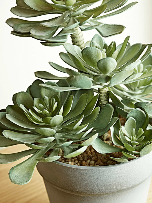 Faux Potted Echeveria