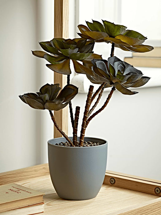 Faux Potted Echeveria