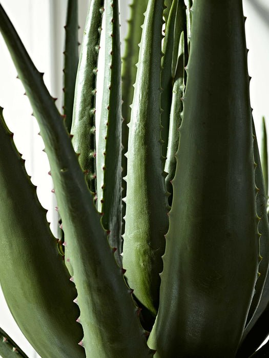 Faux Potted Aloe - Large