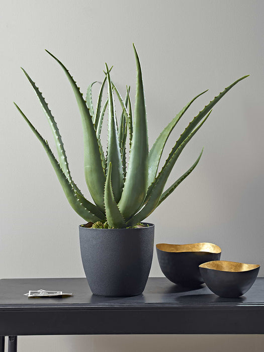 Faux Potted Aloe - Large
