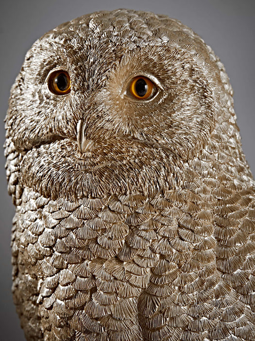 Golden Owl