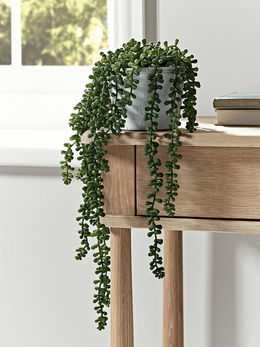 Faux Potted String of Pearls