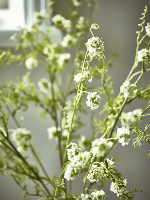Three Spiraea Stems