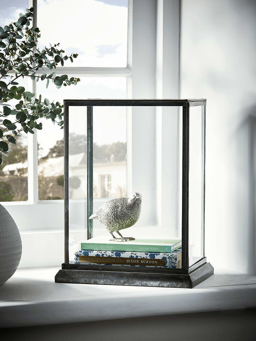 Zinc Display Case
