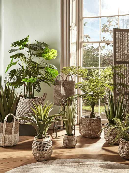 Faux Potted Tall Agave