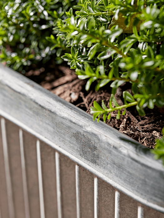 Three Fluted Zinc Planters