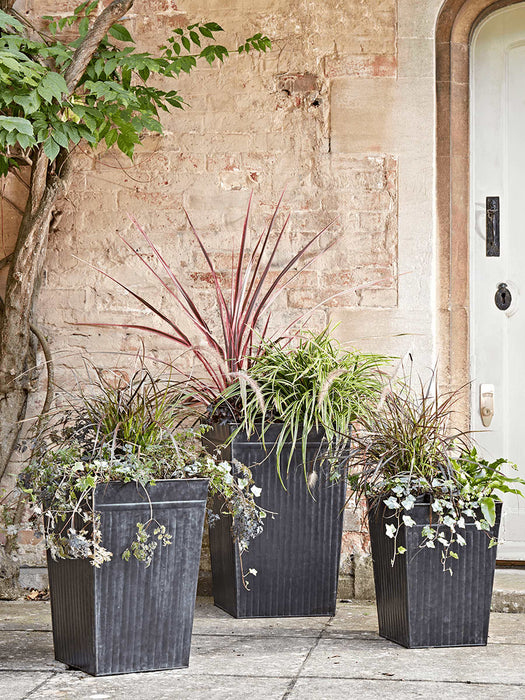 Three Tall Ribbed Zinc Planters