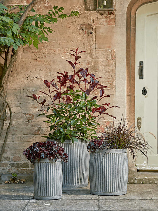 Three Fluted Zinc Planters - Round