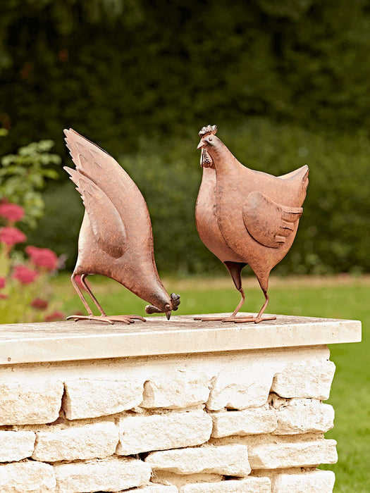 Rusty Standing Hen