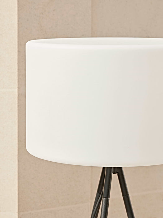 Tripod Outdoor Floor Lamp
