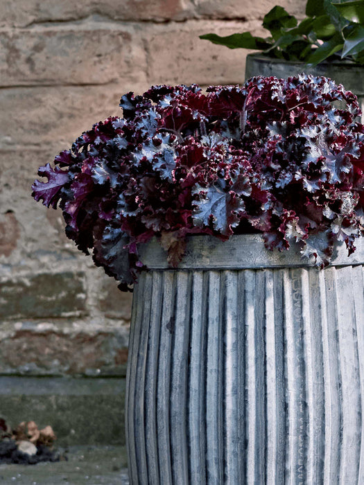 Three Fluted Zinc Planters - Round