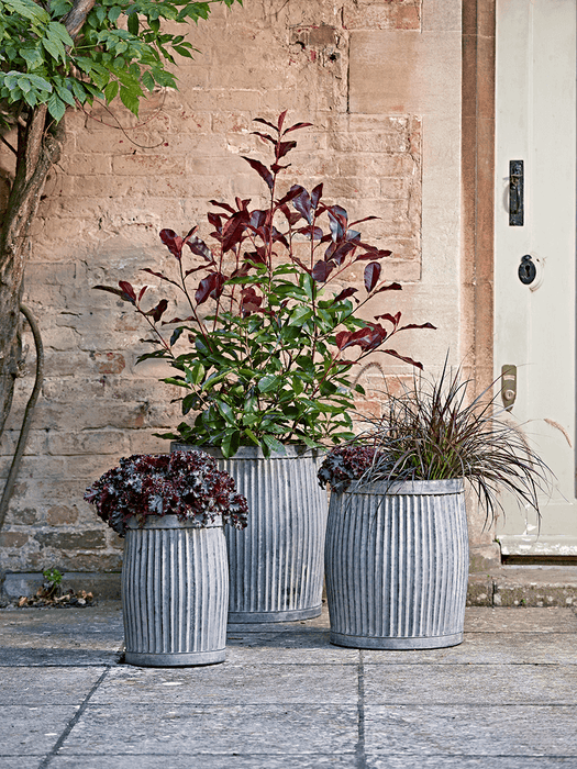 Three Fluted Zinc Planters - Round