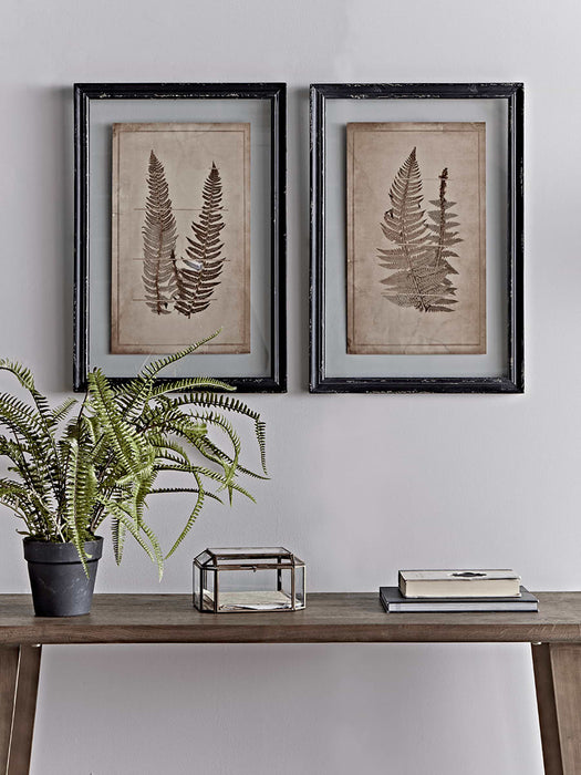 Two Framed Fern Prints