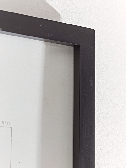 Two Framed Plant Prints