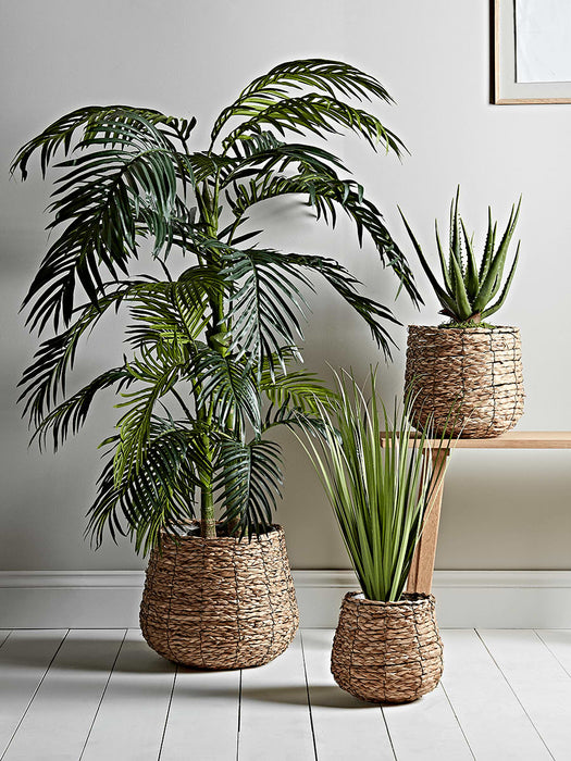 Three Seagrass Basket Planters