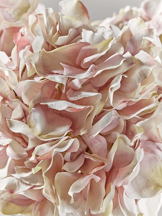 Three Faux Vintage Blush Hydrangeas