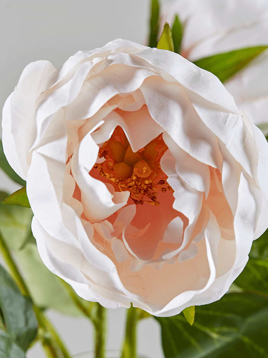 Three Faux Full Peony Stems - Blush