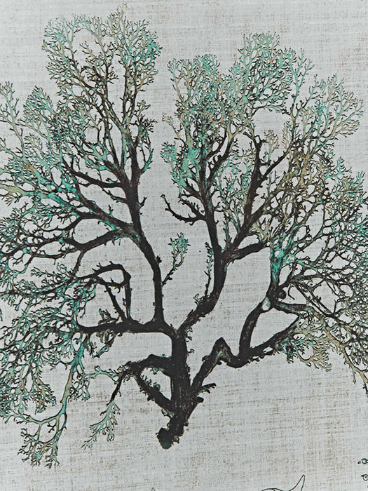 Three Framed Seaweed Prints