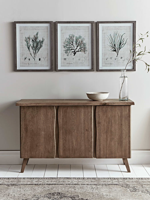 Three Framed Seaweed Prints