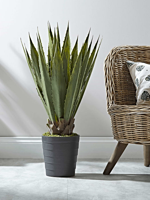 Faux Potted Tall Agave
