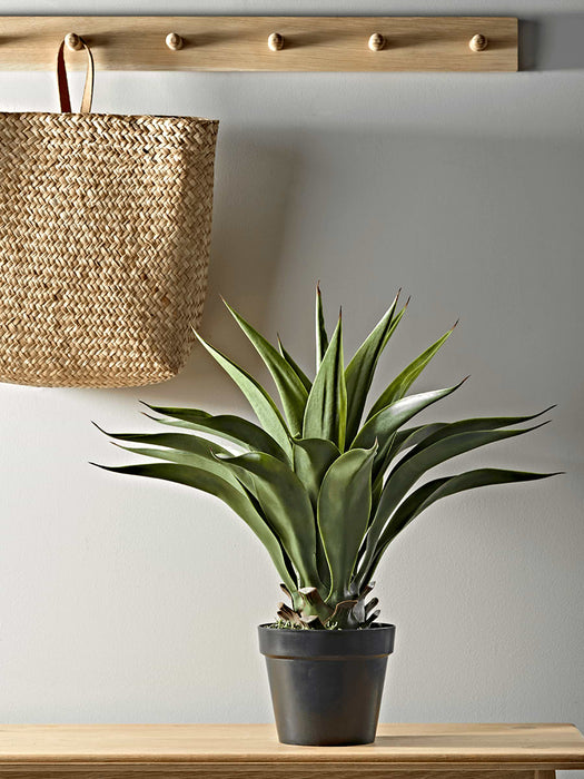 Faux Potted Wide Leaf Agave