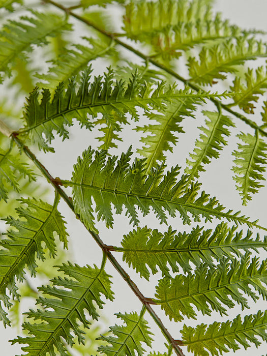 Faux Green Fern Frond