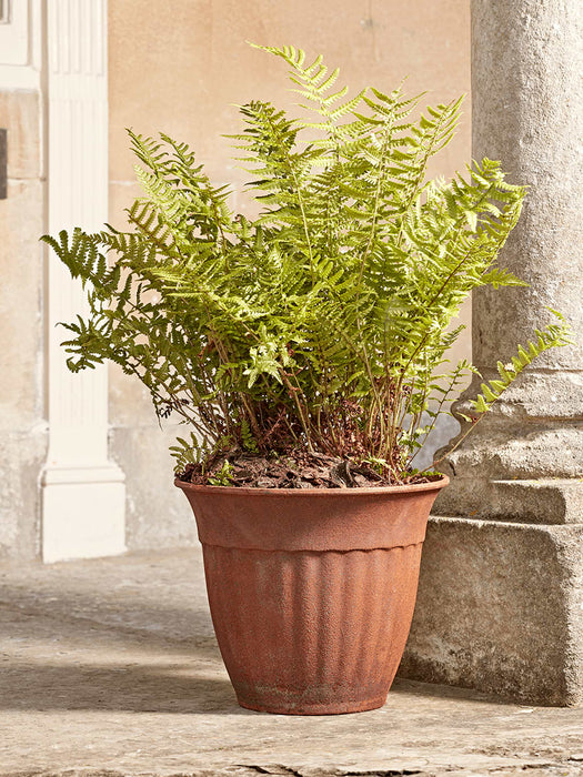 Rusty Cast Iron Planter