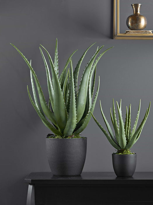 Faux Potted Aloe Vera - Small