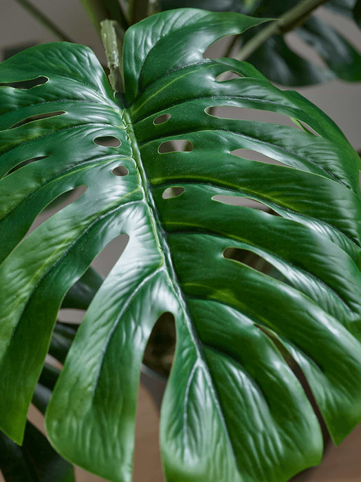 Faux Potted Monstera - Small