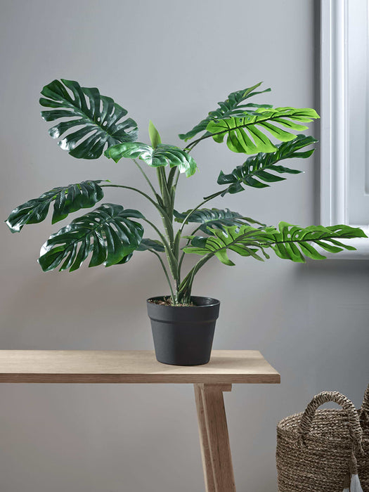 Faux Potted Monstera - Small