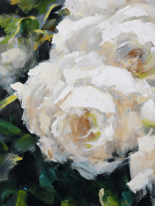 White Roses Canvas
