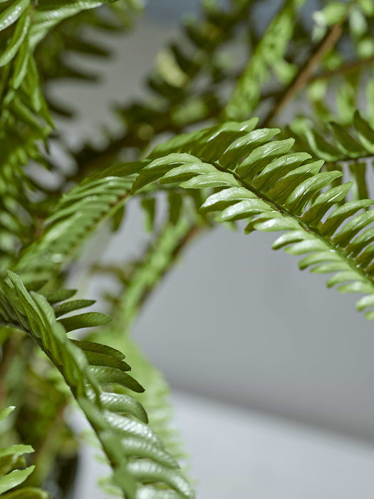 Faux Potted Slim Leaf Fern