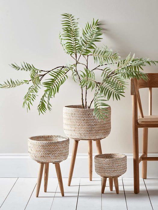 Faux Potted Mulberry