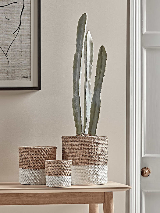 Three Cement Basket Planters