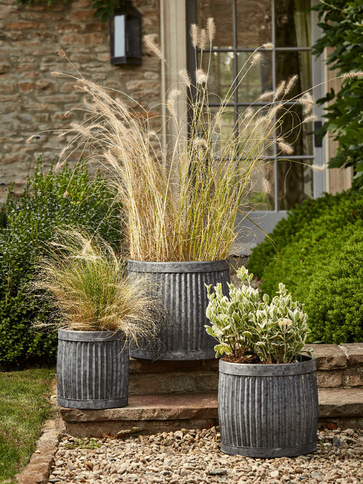 Three Fluted Round Planters - Small