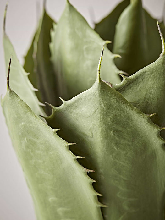 Faux Potted Wide Leaf Agave