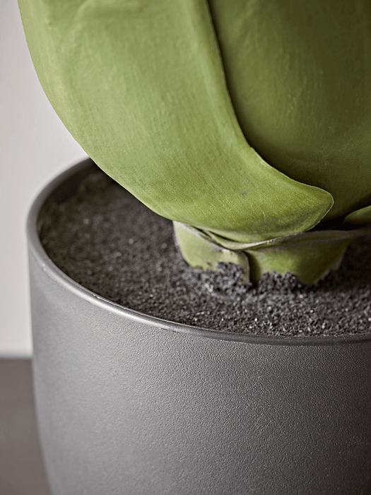 Faux Potted Wide Leaf Agave