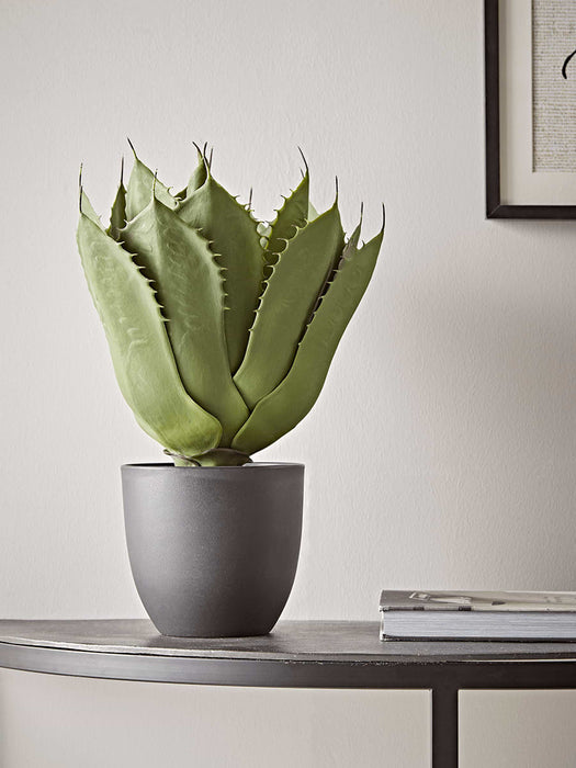 Faux Potted Wide Leaf Agave
