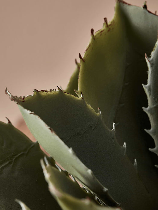 Faux Potted Aloe - Small